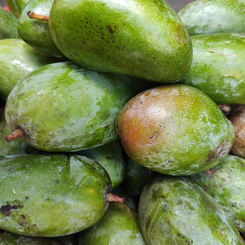Xoài Miên